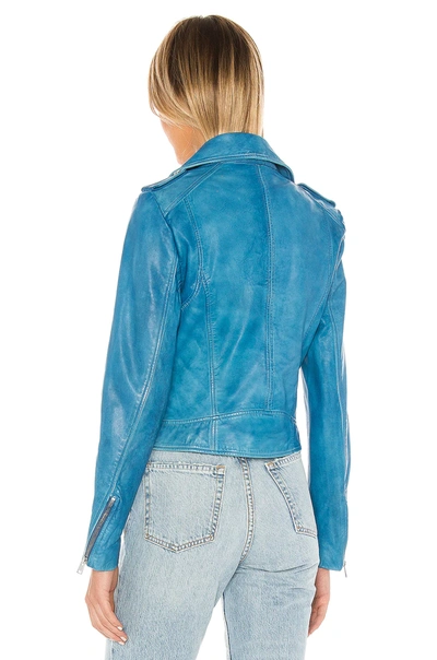 Shop Lamarque Donna Jacket In Faded Jean