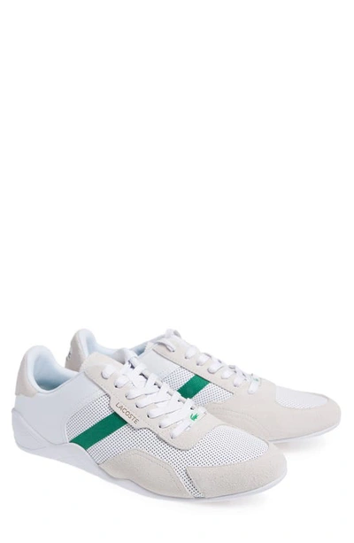 Shop Lacoste Hapona Low Top Sneaker In White/ Green
