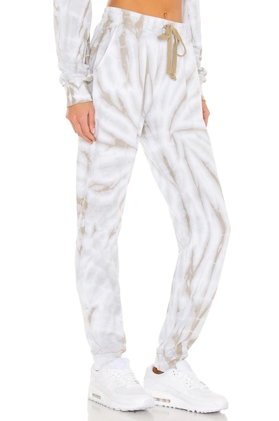 Shop Strut This Frenchie Jogger In Ferry Dust