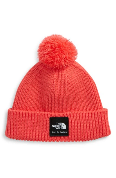 Shop The North Face Box Logo Pom Beanie In Paradise Pink