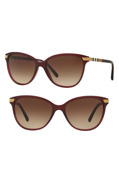 Shop Burberry 57mm Cat Eye Sunglasses In Translucent Oxblood