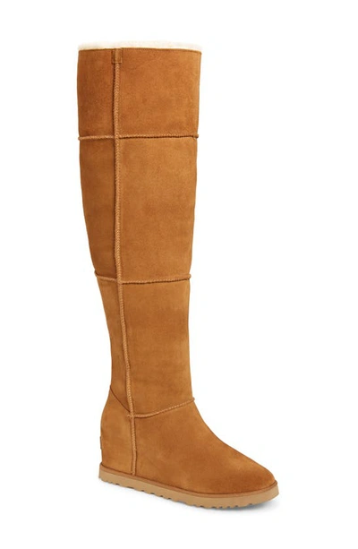 Shop Ugg Classic Femme Over The Knee Wedge Boot In Chestnut Suede
