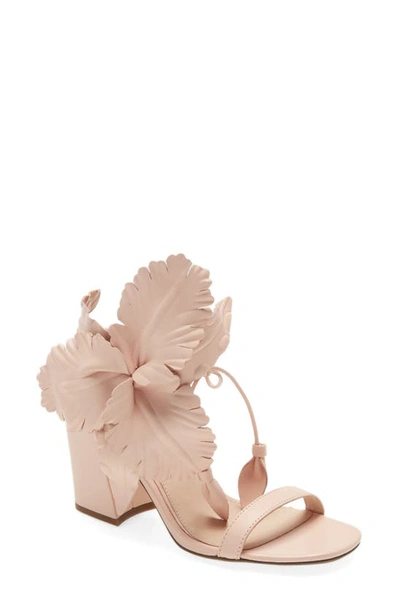 Shop Cecelia New York Hibiscus Sandal In Pale Pink Leather