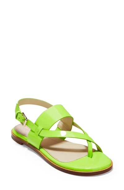 Shop Cole Haan Anica Sandal In Green Leather