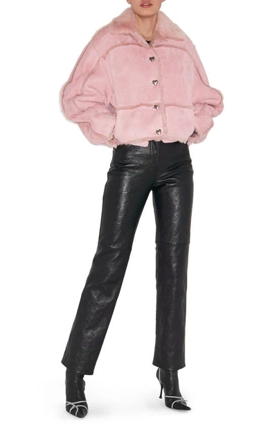 Shop Saks Potts Kahlo Genuine Shearling Crop Jacket In Baby Pink