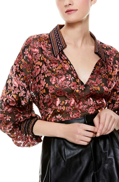 Shop Alice And Olivia Desiree Floral Collared Blouse In Fall Into You Black Multi