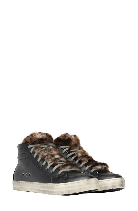 cass square toe heel