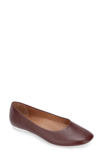 Shop Gentle Souls By Kenneth Cole Gentle Souls Signature Eugene Travel Ballet Flat In Plumberry