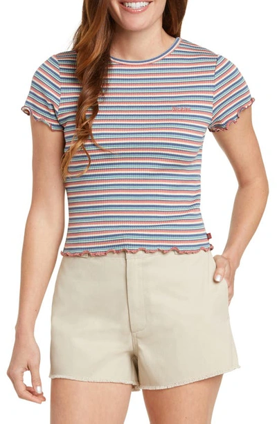 Shop Dickies Lettuce Edge Stripe Ribbed T-shirt In Multi Stripe
