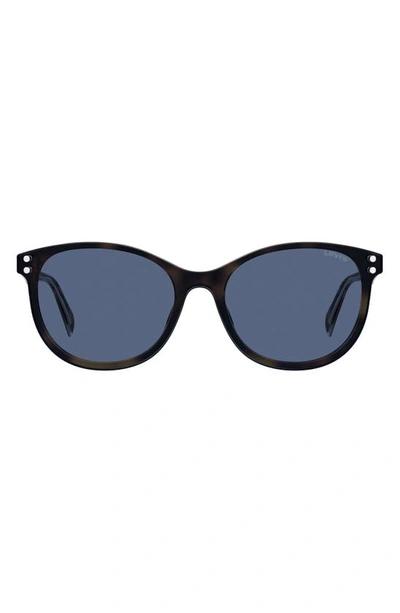 Shop Levi's 53mm Round Sunglasses In Havana 2/ Blue