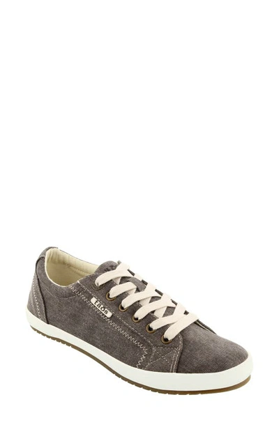 Shop Taos 'star' Sneaker In Chocolate Washed Canvas