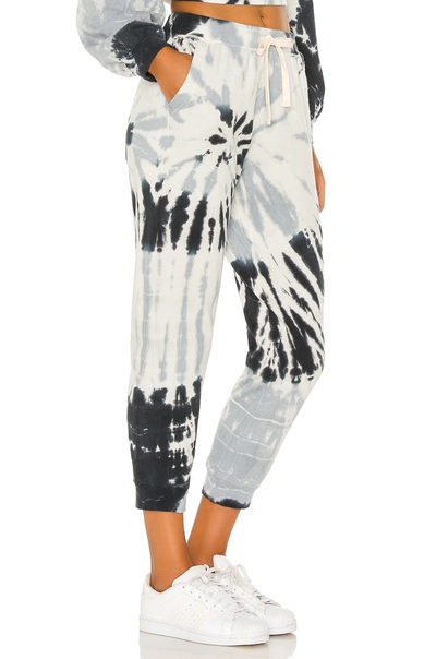 Shop Electric & Rose Abott Kinney Sweatpant In Thunder & Onyx