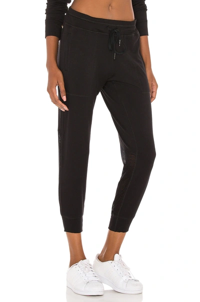 Shop Alala Heron Jogger In Black