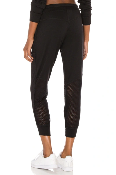 Shop Alala Heron Jogger In Black