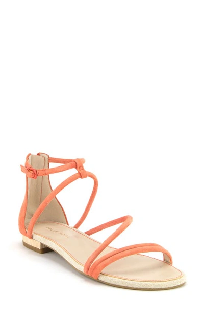 Shop Pelle Moda Baja Strappy Sandal In Coral Suede