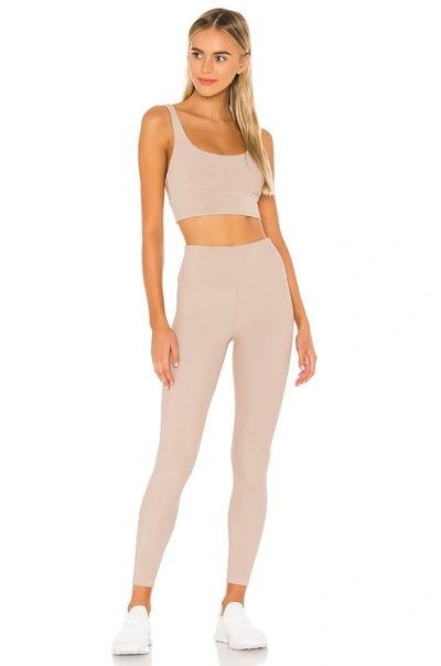 Beach Riot Leah Rib Knit Top In Taupe
