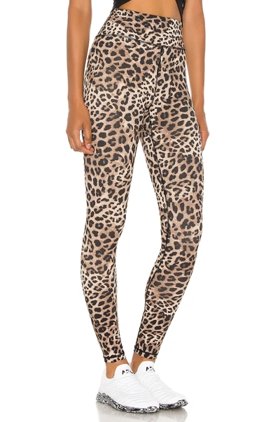 Shop Spiritual Gangster Perfect High Waist Legging In Cheetah Print