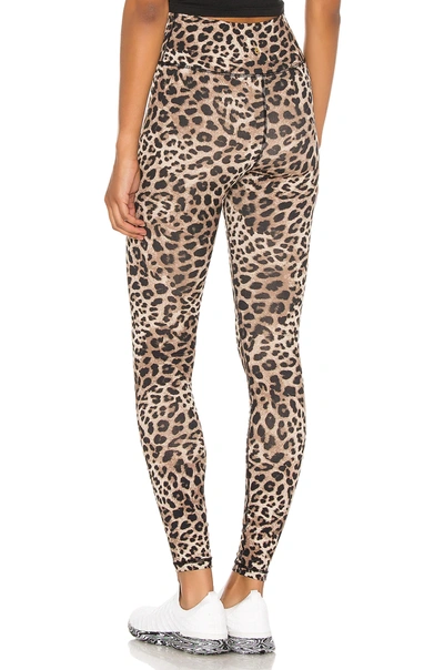 Shop Spiritual Gangster Perfect High Waist Legging In Cheetah Print