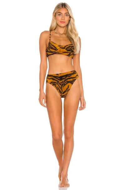 Shop Norma Kamali X Revolve Underwire Bikini Top In Tiger