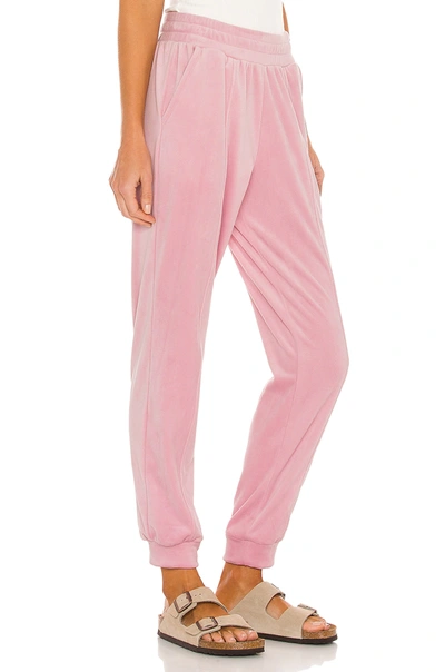 1.state Velour Drawstring Jogger Pants In Rose Pink