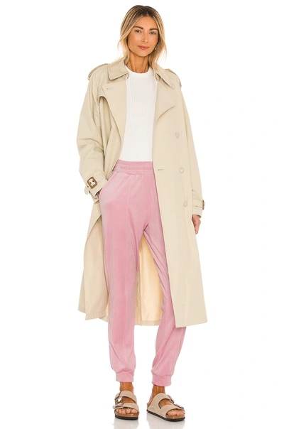 1.state Velour Drawstring Jogger Pants In Rose Pink
