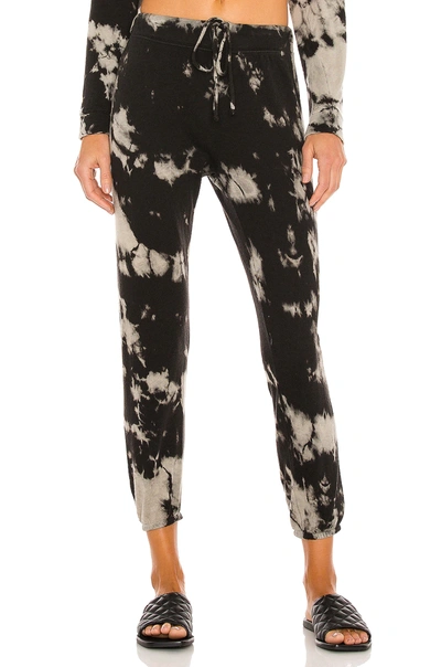 Shop Enza Costa Silk Cashmere Terry Jogger In Black Ionic