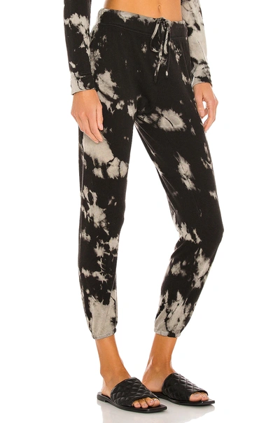 Shop Enza Costa Silk Cashmere Terry Jogger In Black Ionic