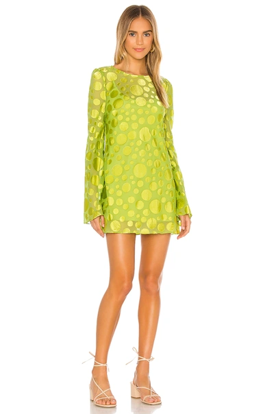 Shop Lovers & Friends Reach For The Stars Mini Dress In Citron Green