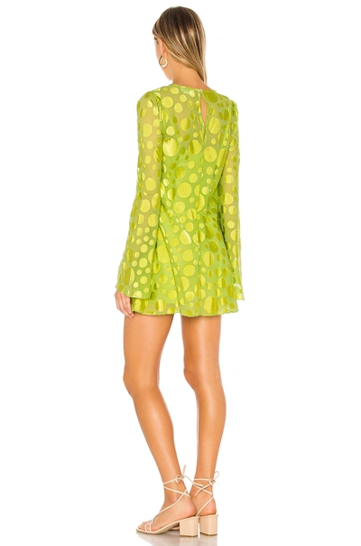 Shop Lovers & Friends Reach For The Stars Mini Dress In Citron Green