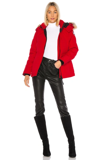 Shop Canada Goose Chelsea Parka With Removable Fur Ruff In Red