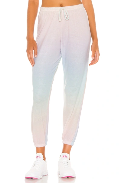 Shop Onzie Weekend Sweatpants In Dreamsicle