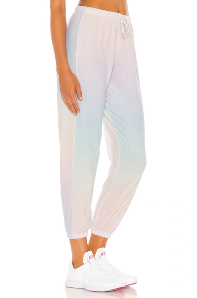 Shop Onzie Weekend Sweatpants In Dreamsicle