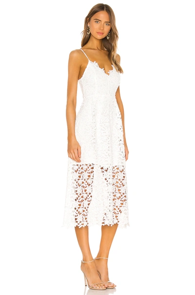 Shop Astr Lace A Line Midi Dress In White