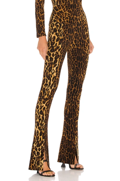 Norma Kamali Spat Leggings In Pantera