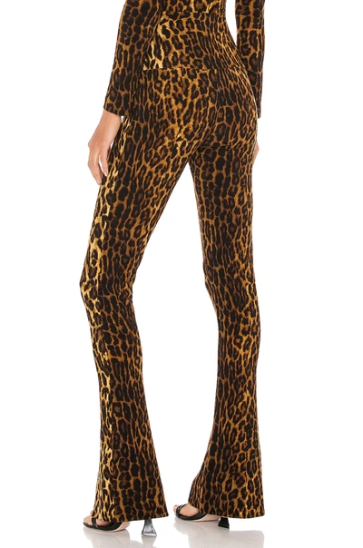 Norma Kamali Spat Leggings In Pantera