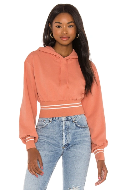 Shop Lovers & Friends Rib Trim Hoodie In Rose