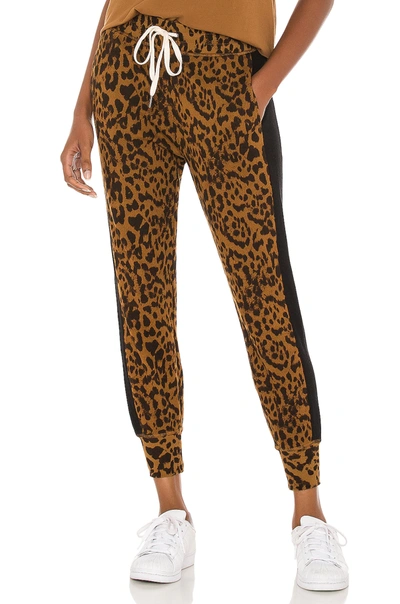 Shop N:philanthropy Barkley Jogger In Hazel Leopard