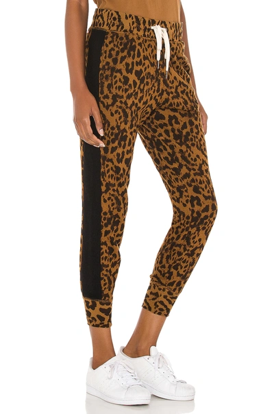 Shop N:philanthropy Barkley Jogger In Hazel Leopard