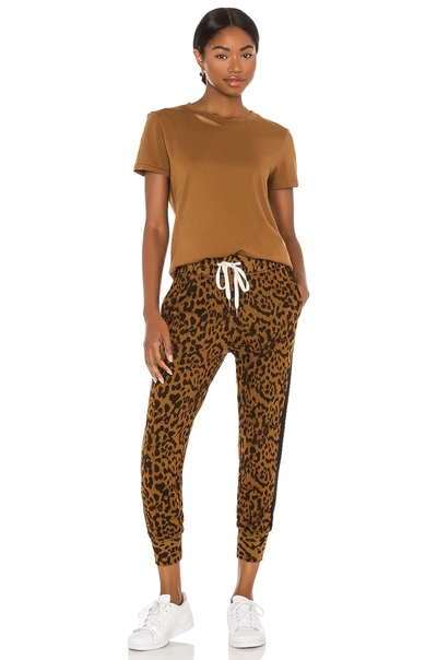 Shop N:philanthropy Barkley Jogger In Hazel Leopard