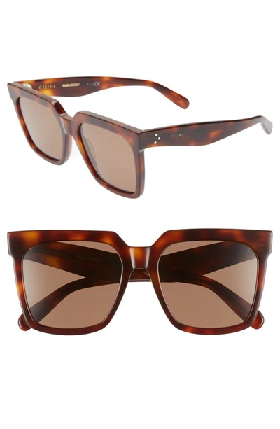 Shop Celine 55mm Polarized Square Sunglasses In Classical Havana/ Brown