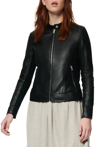 Shop Marc New York Glebrook Leather Jacket In Black