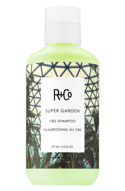 Shop R + Co Super Garden Cbd Shampoo