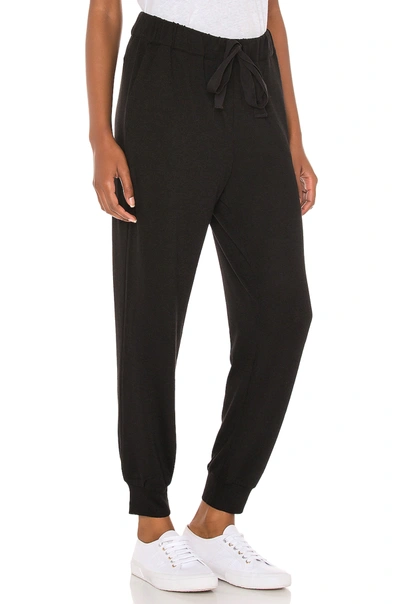 Shop 1.state Cozy Knit Jogger In Rich Black