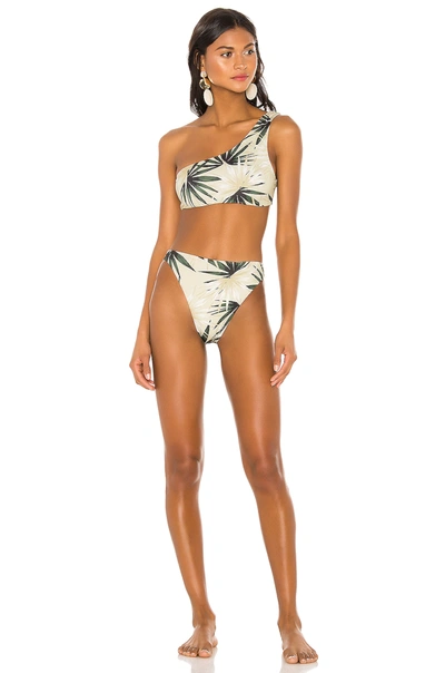 Shop Beach Riot Beach Bikini Bottom In Palm