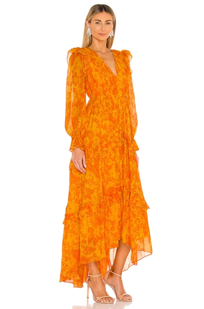 Shop Amur Allegra Gown In Persimmon Jungle