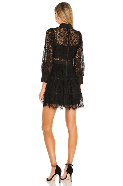 Shop Alice And Olivia Anaya Collared Tiered Short Dress In Black
