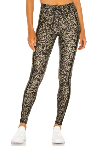Shop The Upside Leopard Yoga Pant In Animal