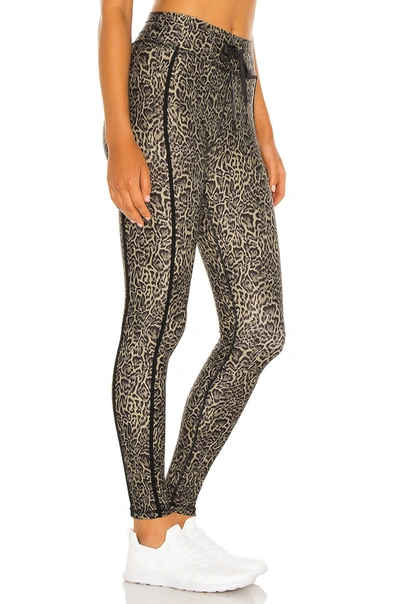 Shop The Upside Leopard Yoga Pant In Animal