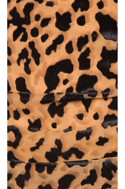 Shop Astr Nikita Dress In Burnout Leopard