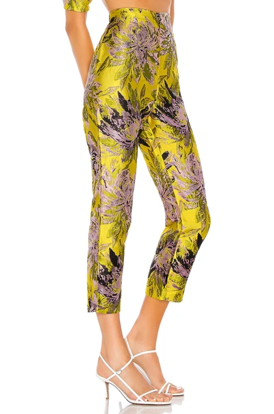 Shop Camila Coelho Breccan Pant In Yellow Floral